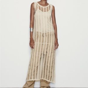 Zara Mesh Tunic Dress